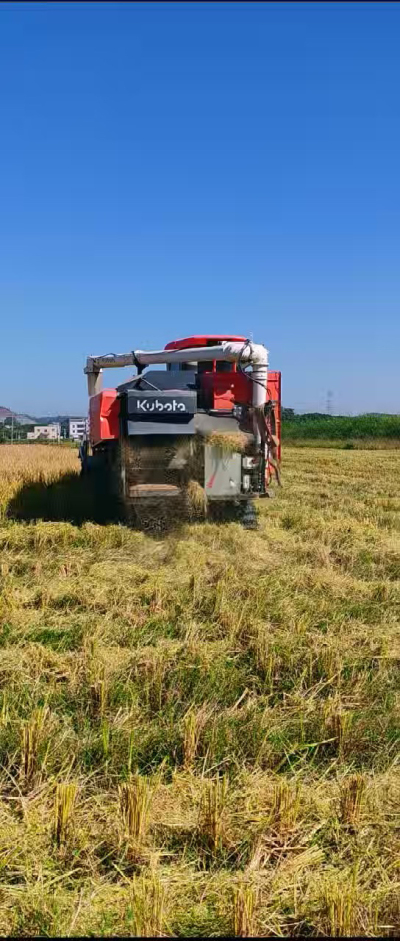 惠州基地，无人拖拉机收水稻了。