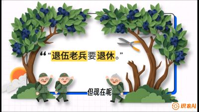 第7节：修剪决定产量（下）&mdash;&mdash;结果树的更新与疏果，课程：《蓝莓&ldquo;高产&rdquo;实战课：从选苗到丰收的10个关键点》