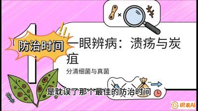 第三节：细菌与真菌&mdash;&mdash;溃疡病与炭疽病，课程：《柑橘十大病虫害：从入门到精通》