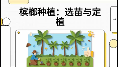 第01节：选苗与定植&mdash;&mdash;&ldquo;苗好一半收，底肥定千秋&rdquo;课程：《槟榔种植：从不懂到精通的10堂必修课》