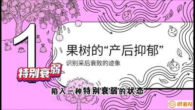 第2节：【冬肥策略】采后&ldquo;月子肥&rdquo;：大小年的精准干预术，课程：《柑橘底肥&ldquo;翻身账&rdquo;：从改土到高产的实战全书》