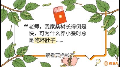第01节：不仅仅是树&mdash;&mdash;顶级品种选配策略，课程：《桑海淘金：桑树高产与蚕桑安全进阶实战课》
