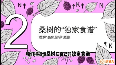 第04节：地下核动力&mdash;&mdash;桑树专用水肥一体化配方，课程：《桑海淘金：桑树高产与蚕桑安全进阶实战课》