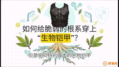 第三节：国产榴莲突围战：根系堡垒，菌根微生态构建与黄金定植窗口，课程：《国产榴莲突围战：从泰国经验到中国实操的8堂必修课（高阶实战版）》