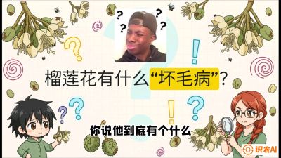 第六节：榴莲的午夜战事，夜间授粉战与花果期避雨策略，课程：《国产榴莲突围战：从泰国经验到中国实操的8堂必修课（高阶实战版）》