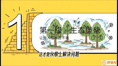 第七节：榴莲防御战：病虫害三级立体防控，疫霉菌与虫害的立体封锁线，课程：《国产榴莲突围战：从泰国经验到中国实操的8堂必修课（高阶实战版）》