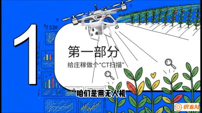 第5节：无人机也能&ldquo;看病抓药&rdquo;&mdash;&mdash;处方图与变量施肥入门，课程：《无人机植保搞钱必修课：从&ldquo;瞎飞&rdquo;到&ldquo;懂行&rdquo;的6步进阶》