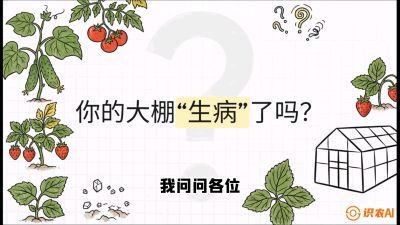 第2节（解毒篇）： 大棚里的&ldquo;红白绿&rdquo;警报&mdash;&mdash;读懂土壤盐渍化的求救信号，课程：《揭秘土壤的秘密：让土地帮你赚钱》#识农AI