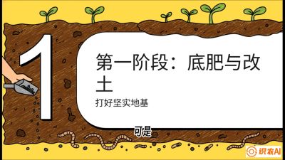 第6节（统筹篇）： 省钱又增产的&ldquo;黄金配比&rdquo;&mdash;&mdash;不同作物全年的养土实操方案，课程：《揭秘土壤的秘密：让土地帮你赚钱》#识农AI