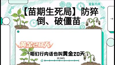 第2节：【苗期生死局】防猝倒、破僵苗，决定后期产量的&ldquo;黄金20天&rdquo;，课程：《辣椒种植实战特训营，从工业辣椒到精品小米辣，教你如何把&ldquo;草&rdquo;种成&ldquo;金&rdquo;》