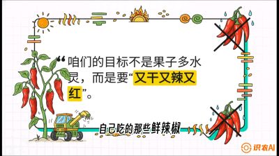 第7节：【工业辣椒专场】追求极致辣度！干物质提升与机械化采收的&ldquo;催红秘籍&rdquo;，课程：《辣椒种植实战特训营，从工业辣椒到精品小米辣，教你如何把&ldquo;草&rdquo;种成&ldquo;金&rdquo;》