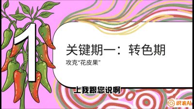 第8节：【小米辣线椒专场】颜值即正义！防花皮、防炭疽，打造收购商抢着要的&ldquo;精品果&rdquo;，课程：《辣椒种植实战特训营，从工业辣椒到精品小米辣，教你如何把&ldquo;草&rdquo;种成&ldquo;金&rdquo;》