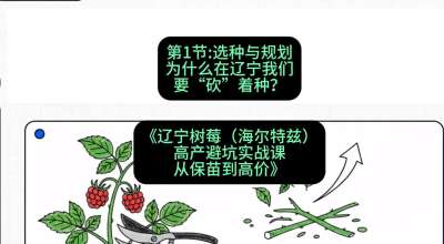 第一节： 选种与规划&mdash;&mdash;为什么在辽宁我们要&ldquo;砍&rdquo;着种？，课程：《辽宁树莓（海尔特兹）高产避坑实战课：从保苗到高价》