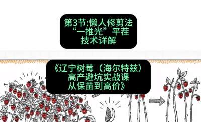 第三节： 懒人修剪法&mdash;&mdash;&ldquo;一推光&rdquo;平茬技术详解，课程：《辽宁树莓（海尔特兹）高产避坑实战课：从保苗到高价》