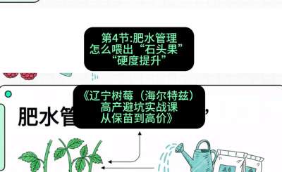 第四节： 肥水管理&mdash;&mdash;怎么喂出&ldquo;石头果&rdquo;（硬度提升），课程：《辽宁树莓（海尔特兹）高产避坑实战课：从保苗到高价》