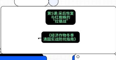 第5节：【柑橘清园】采后恢复与红蜘蛛的&ldquo;拉锯战&rdquo;，课程：《经济作物冬季清园&middot;实战防坑指南》#识农AI