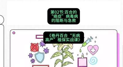 第02节：百合的&ldquo;癌症&rdquo;&mdash;&mdash;病毒病的阻断与急救，课程：《卷丹百合&ldquo;无病高产&rdquo;植保实战课》#识农AI