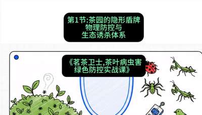 第01节：茶园的&ldquo;隐形盾牌&rdquo;&mdash;&mdash;物理防控与生态诱杀体系，课程：《茗茶卫士&mdash;&mdash;茶叶病虫害绿色防控实战课》#识农AI
