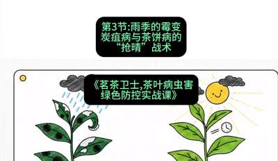 第03节：雨季的霉变&mdash;&mdash;炭疽病与茶饼病的&ldquo;抢晴&rdquo;战术，课程：《茗茶卫士&mdash;&mdash;茶叶病虫害绿色防控实战课》#识农AI