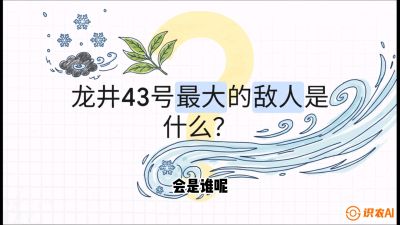 第04节：龙井双璧&mdash;&mdash;龙井43与群体种的差异化护养（重点），课程：《茗茶卫士&mdash;&mdash;茶叶病虫害绿色防控实战课》#识农AI