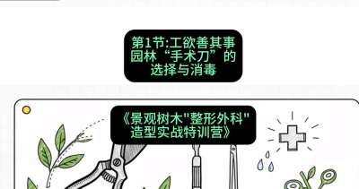 第01节：工欲善其事&mdash;&mdash;园林&ldquo;手术刀&rdquo;的选择与消毒，课程：《景观树木&ldquo;整形外科&rdquo;造型实战特训营》#识农AI