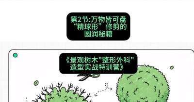 第02节：万物皆可盘&mdash;&mdash;&ldquo;精球形&rdquo;修剪的圆润秘籍，课程：《景观树木&ldquo;整形外科&rdquo;造型实战特训营》#识农AI