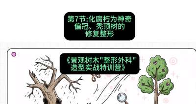 第07节：化腐朽为神奇&mdash;&mdash;偏冠、秃顶树的修复整形，课程：《景观树木&ldquo;整形外科&rdquo;造型实战特训营》#识农AI