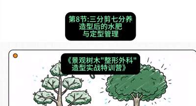第08节：三分剪七分养&mdash;&mdash;造型后的水肥与定型管理，课程：《景观树木&ldquo;整形外科&rdquo;造型实战特训营》#识农AI