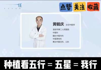 中药材淫羊藿怎么种？听专家一次讲明白！不挑地块好管理，耐寒耐旱省心省力，新手也能轻松上手，药用价值高、市场需求稳，妥妥的增收好品种～ 从生长习性到采收要点，干货满满无废话，种植疑问直接问，一对一答疑解