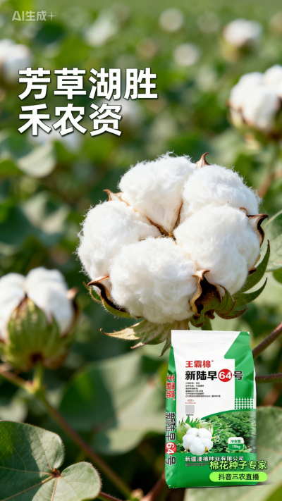 新疆棉花澳棉种业王霸棉，还有其它都好