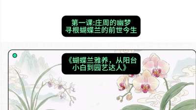 第一节：庄周的幽梦：寻根蝴蝶兰的前世今生，课程：《蝴蝶兰雅养六讲：从阳台小白到园艺达人》#识农AI