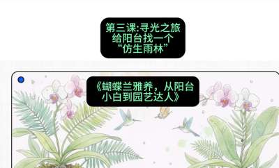 第三节：寻光之旅：给阳台找一个&ldquo;仿生雨林&rdquo;，课程：《蝴蝶兰雅养六讲：从阳台小白到园艺达人》#识农AI