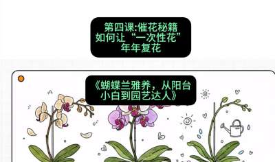 第四节：催花秘籍：如何让&ldquo;一次性花&rdquo;年年复花，课程：《蝴蝶兰雅养六讲：从阳台小白到园艺达人》#识农AI