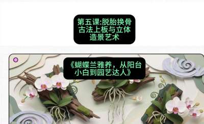 第五节：脱胎换骨：古法上板与立体造景艺术，课程：《蝴蝶兰雅养六讲：从阳台小白到园艺达人》#识农AI